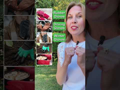 5 Types of Gloves in English 🧤