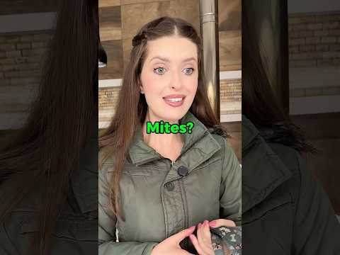 A person who loves dogs 🐶 #englishteacher #teachingenglish #englishvocabulary #learnenglish