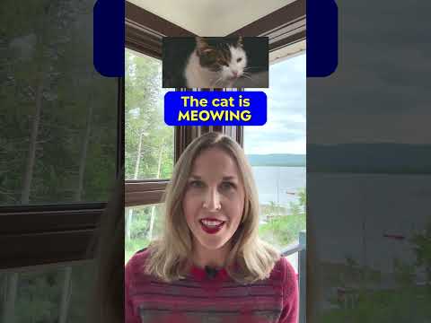 Animal Sounds In English #learnenglish #shorts