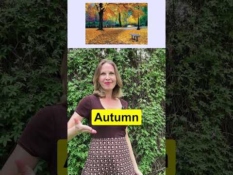 Can you pronounce these words? A1 Level