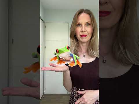 Do You Know These Exotic Animals? 🐸 Name These Exotic Animals in ENGLISH  #learnenglish #vocabulary