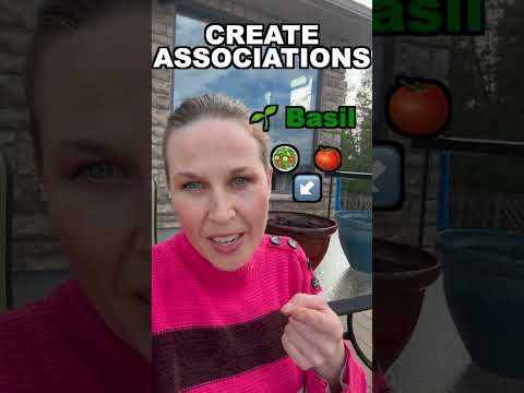 Easy Memory Trick To Permanently Remember New Things!