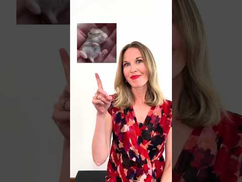 🚫 Don't always say BIG and SMALL! Advanced English Vocabulary