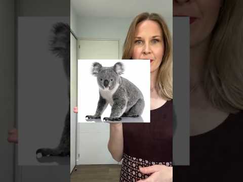 🦁 ANIMALS Vocabulary in English | Sound Like a Native!  #learnenglish