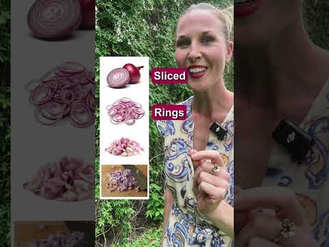 🧅 Onion Slices Vocabulary #english