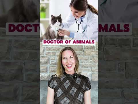 🩺 Types of Doctors in English