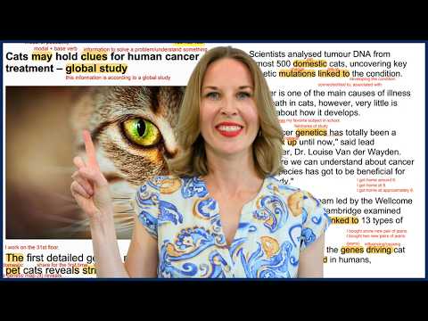 If You Can Understand This Article from CNN, Your English is Excellent!