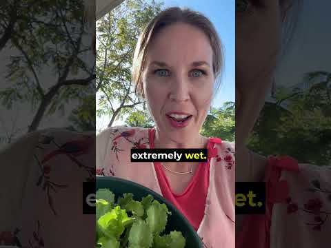 Learn ADVANCED ADJECTIVES in 20 seconds! #learnenglish #english