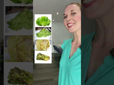 Lettuce Vocabulary 🥬 #english #learnenglish #vocabulary