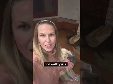 LEVEL UP Your English with this MUST LEARN Expression! #advancedenglish