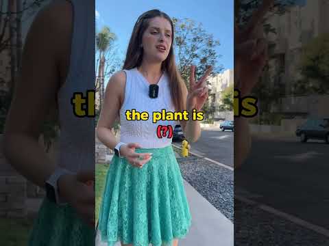 Talking about a plant 🌹 #englishteacher #english #englishtips #learnenglish