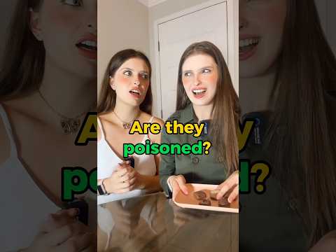 The chocolate is venomous ❌ #english #englishteacher #englishtips #learnenglish