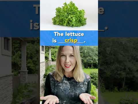 This π is? Do you know these words? Advanced Food Vocabulary #vocabulary #english