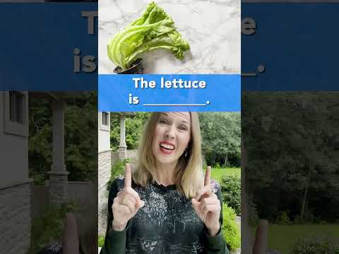 This 🍞 is ____? Do You Know These Words? Advanced Food Vocabulary #vocabulary #learnenglish #english