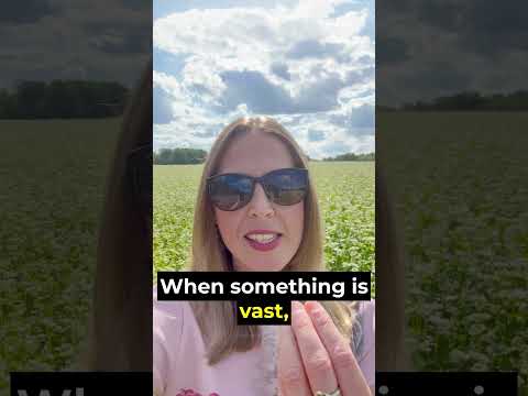 This flower field is vast! 🌼