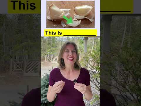 This is a 🍌? SKINS AND PEELS VOCABULARY #vocabulary #englishwords