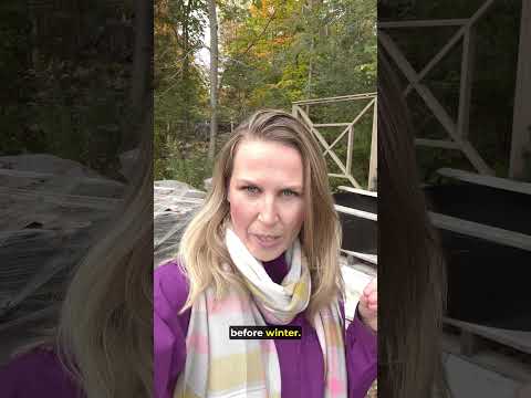 What does it mean to say "Put Off" in English