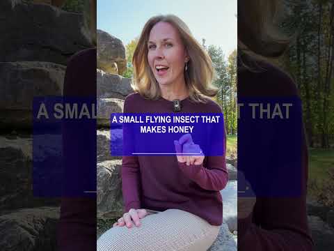 What is this called? Guess The Word #english #vocabulary