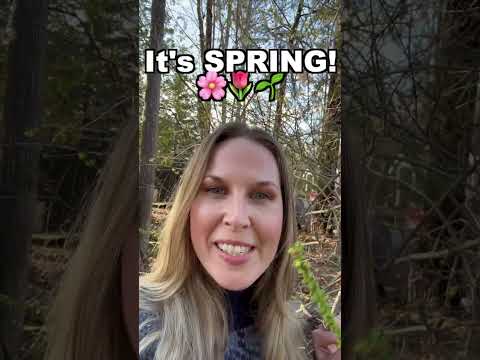 What's Happening To This TREE? #learnenglish #englishvocabulary #dailyenglish