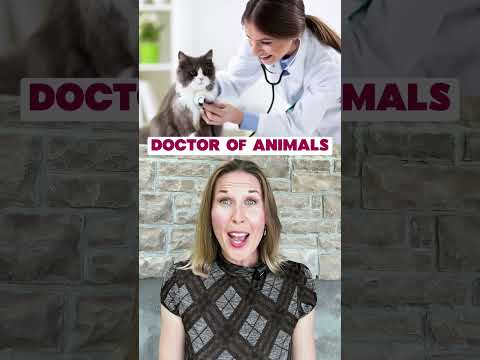 Which One Do You Need? 🩺 Types of Doctors #vocabulary