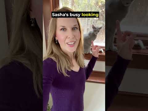 Instantly SOUND FLUENT With THIS Expression! #english